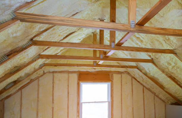 Best DIY Insulation Kits and Guidance in Litchfield, MI