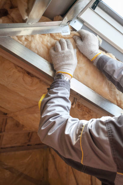 Best Energy Efficiency Insulation in Litchfield, MI