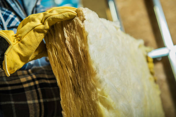 Best Insulation Maintenance and Repair in Litchfield, MI
