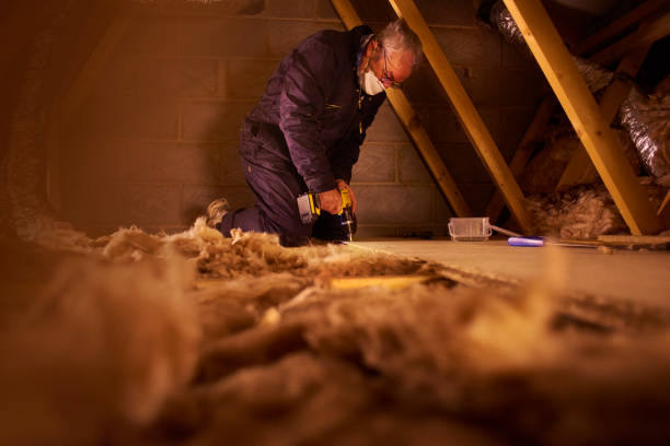 Best Insulation Maintenance and Repair in Litchfield, MI